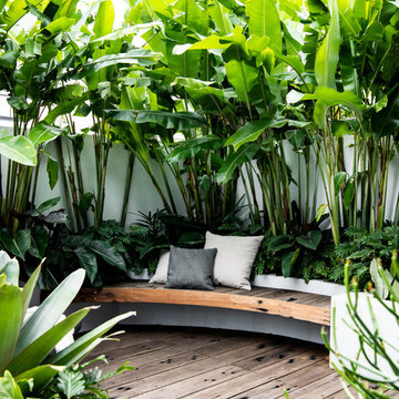 Balmain - Inner city garden