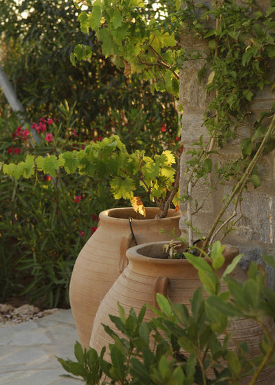 Mediterranean Landscape by Carolyn Chadwick