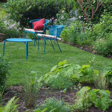 Front & Backyard Garden