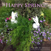 Container Gardening