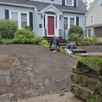 Ivy and Climbing Vine Installation - Albany, NY