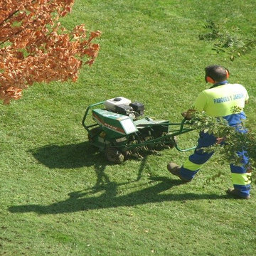 Lawn Aeration