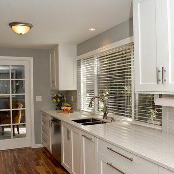 Contemporary Galley Kitchen