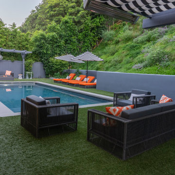 Mandeville Canyon Modern Oasis