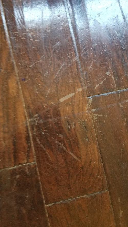 Remove Wax Build Up On Wood Floors, Stripping Wax From Laminate Floors