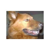 Brian Brnik's photo
