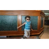 Amr Shahwan's photo