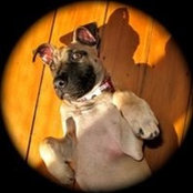 Foto von Alethea Fowler
