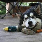 Henry Shim's photo