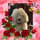 kelly_sphonbailor