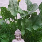Patricia Gumm's photo