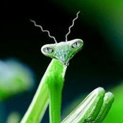 James Nork's photo