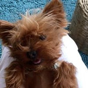 Kathy Hardtke's photo