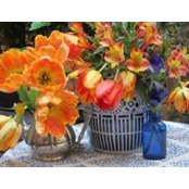 Diane Woolf's photo