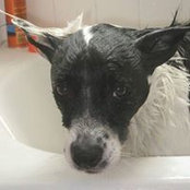 Tracy Richards's photo
