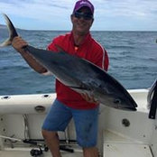 Michael Kokolakis's photo
