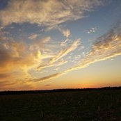 Lee Tillman's photo