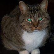 Stacy Wilson-Robinson's photo