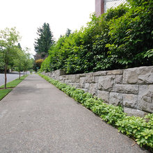 front yard