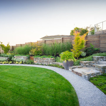 Lakeside Modern