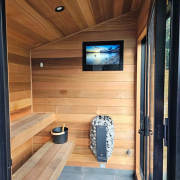 Sauna Televisions