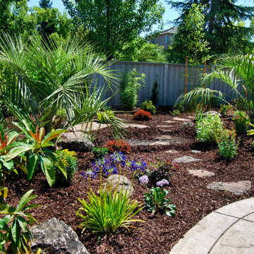 Backyard privacy landscaping