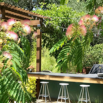Outdoor kitchen and bar