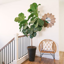 Stairs 2021