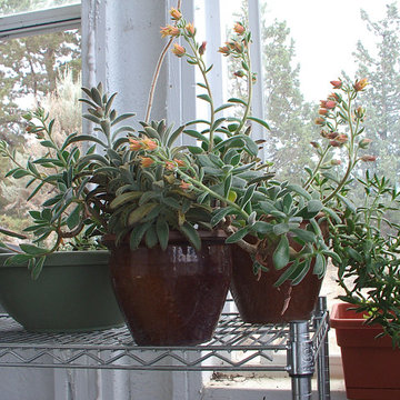 4 Season Greenhouse in Central Oregon