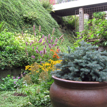 Vertical Garden