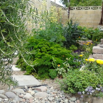 Winter Vegetable Garden