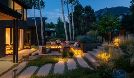 Landscape Lighting That Doesn’t Wake the Birds