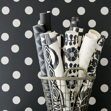 Black & Light