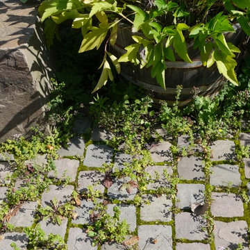 Naturnahe Gärten
