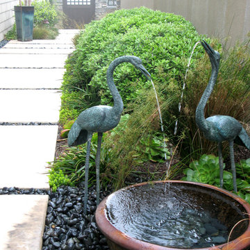 Ocean Inspired Succulent Garden