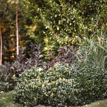 Melbourne International Flower and Garden Show 2024