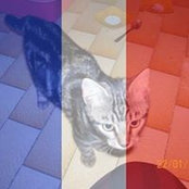 Foto von Laurence Tarrou