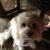 Molly Turek's photo
