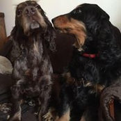 Suzy De Valvygne's photo