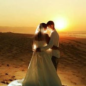 Wesley Spruce's photo
