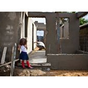 Paul Janssen's photo