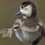 Diane Endia's photo