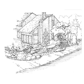 Sideyard Renovation