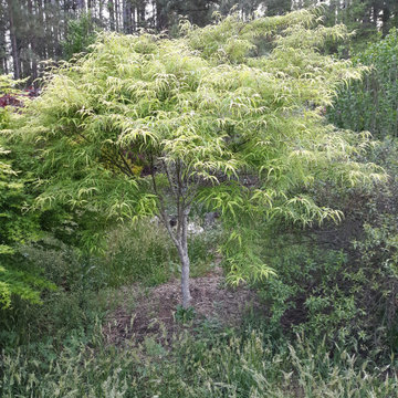 Plant Installations