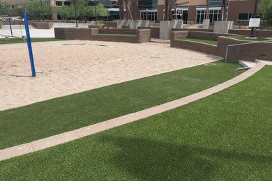 Photo of a large traditional drought-tolerant and full sun courtyard landscaping in Phoenix.