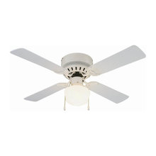 Fans