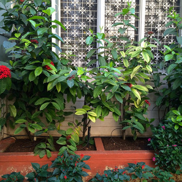 Pune Garden