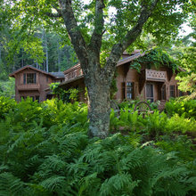 Willoughby Woodland