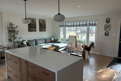 Inspiration for a modern living room remodel in Chicago