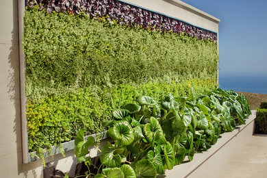 Design ideas for a contemporary landscaping in Orange County.